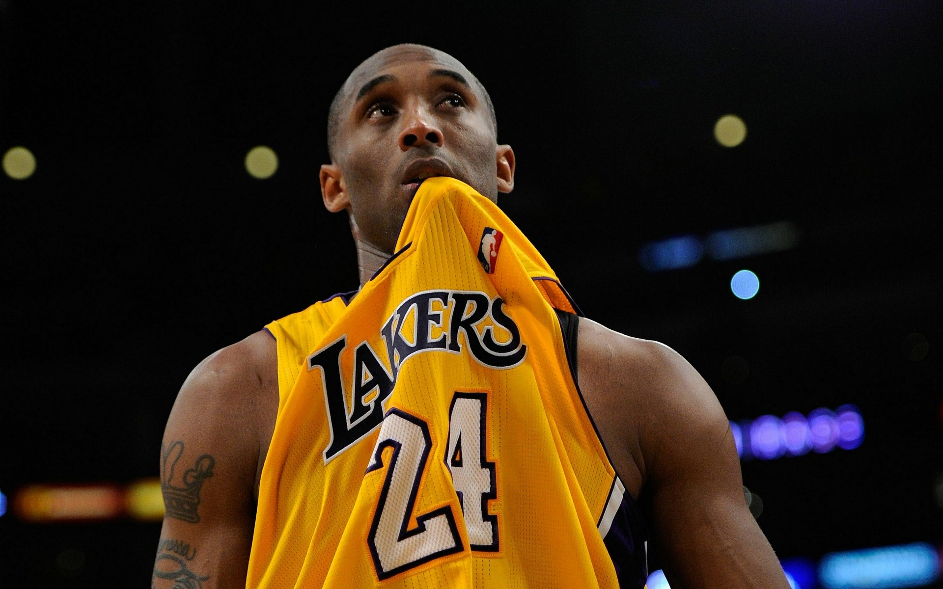 易备受关注 易备受关注